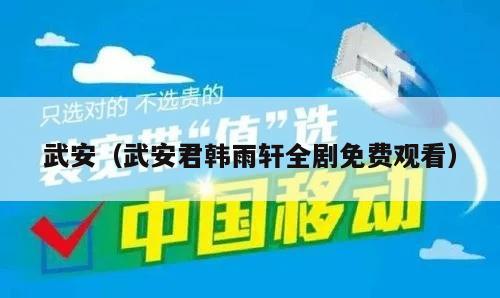 武安（武安君韩雨轩全剧免费观看）