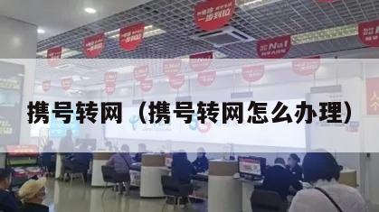 携号转网（携号转网怎么办理）