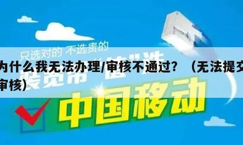 为什么我无法办理/审核不通过？（无法提交审核）