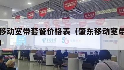 肇东移动宽带套餐价格表（肇东移动宽带办理网点）