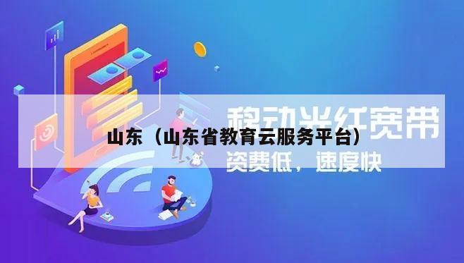 山东（山东省教育云服务平台）