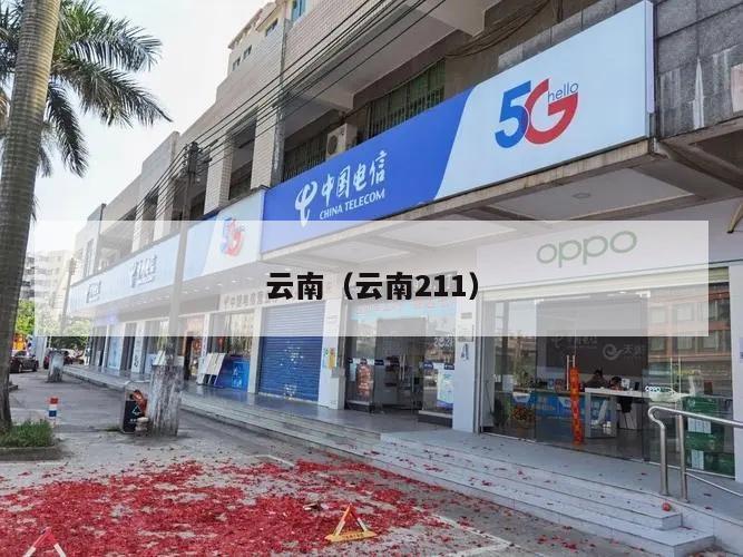 云南（云南211）