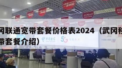 武冈联通宽带套餐价格表2024（武冈移动宽带套餐介绍）