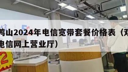 双鸭山2024年电信宽带套餐价格表（双鸭山电信网上营业厅）