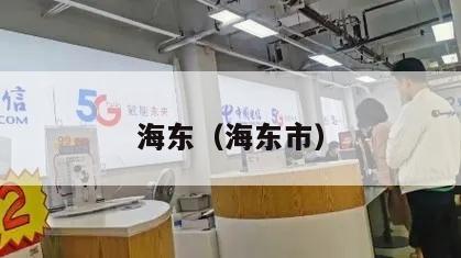 海东（海东市）