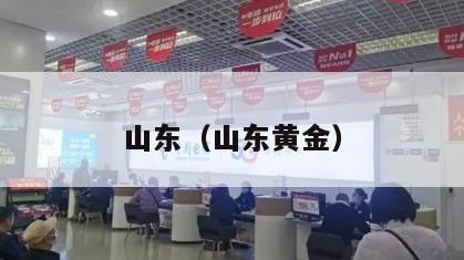 山东（山东黄金）