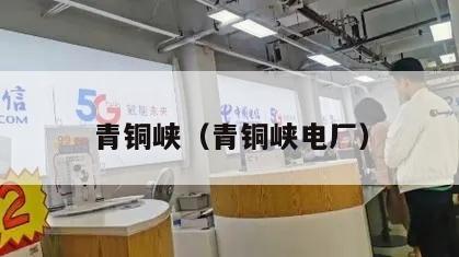 青铜峡（青铜峡电厂）