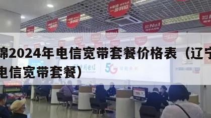 盘锦2024年电信宽带套餐价格表（辽宁盘锦电信宽带套餐）
