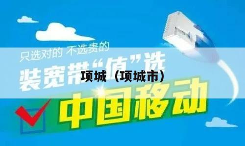 项城（项城市）