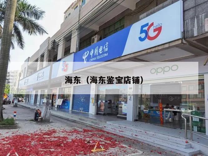海东（海东鉴宝店铺）