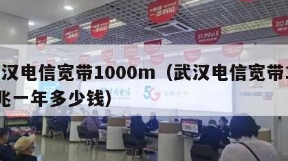 武汉电信宽带1000m（武汉电信宽带100兆一年多少钱）