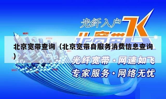 北京宽带查询（北京宽带自服务消费信息查询）