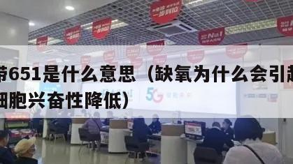 宽带651是什么意思（缺氧为什么会引起神经细胞兴奋性降低）
