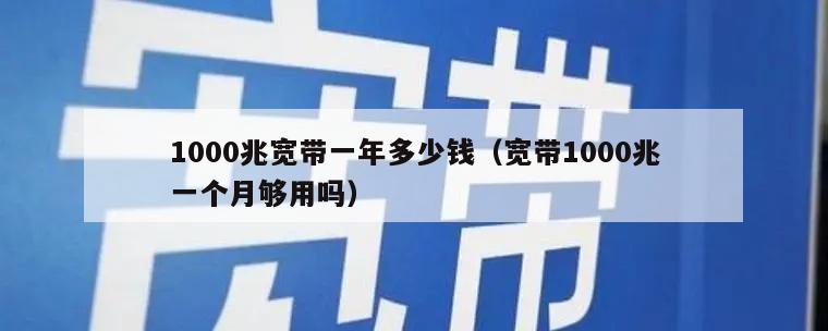 1000兆宽带一年多少钱（宽带1000兆一个月够用吗）