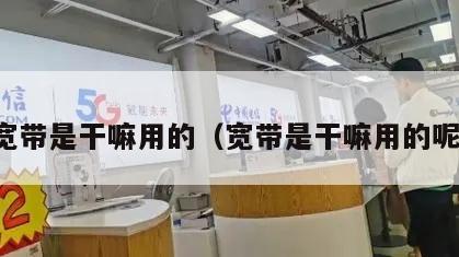 宽带是干嘛用的（宽带是干嘛用的呢）
