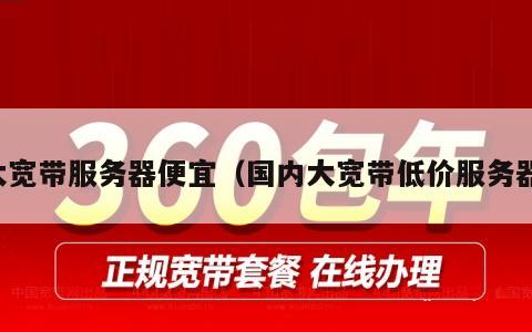 大宽带服务器便宜（国内大宽带低价服务器）