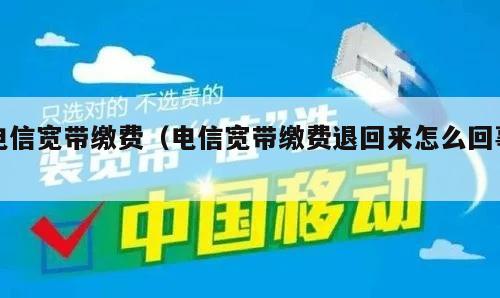 电信宽带缴费（电信宽带缴费退回来怎么回事）