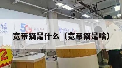 宽带猫是什么（宽带猫是啥）