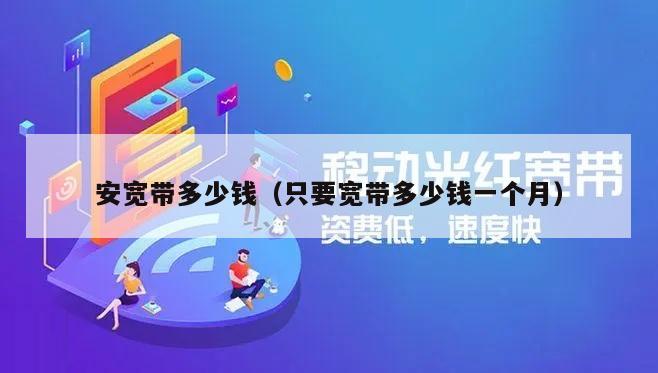 安宽带多少钱（只要宽带多少钱一个月）