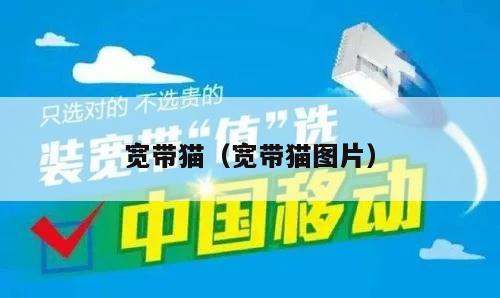 宽带猫（宽带猫图片）